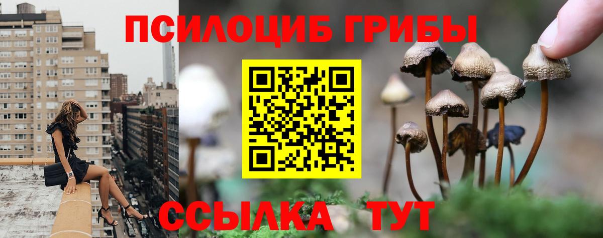 Псилоцибиновые грибы GOLDEN TEACHER Богородицк